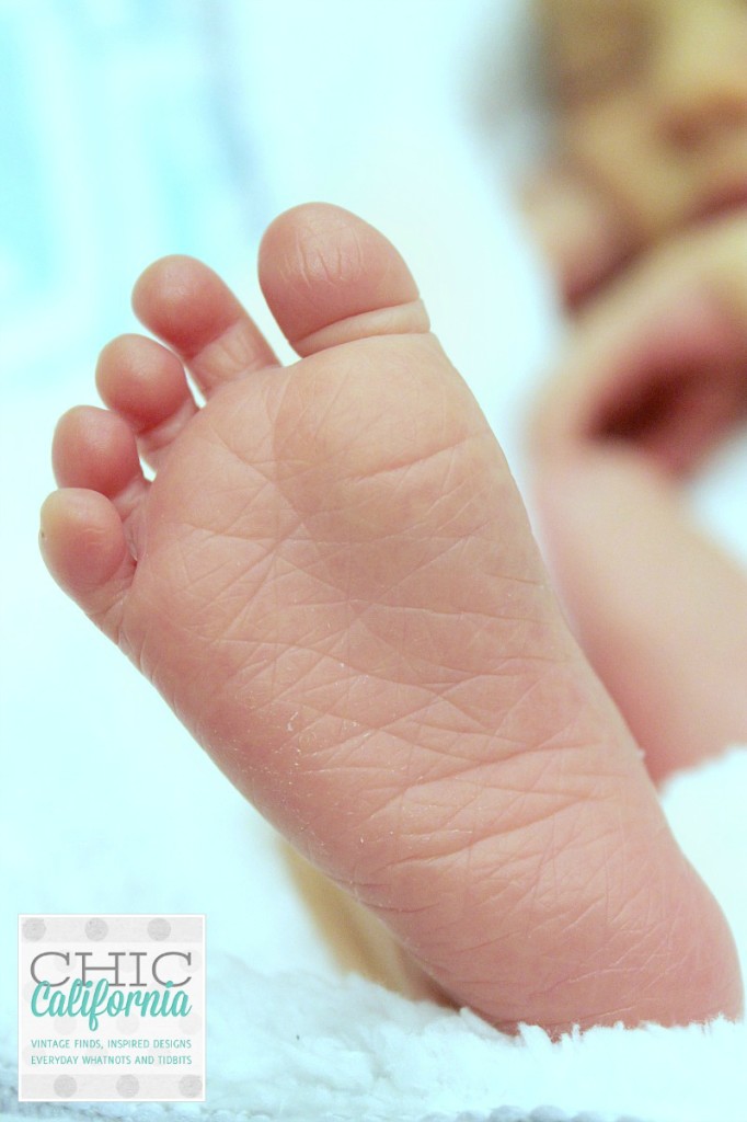 beaus toes watermark